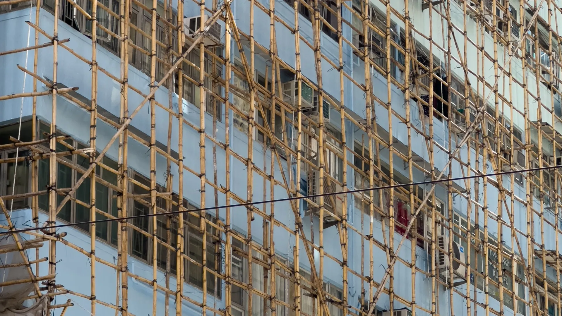 Фото: robert coolen/Shutterstock/Fotodom