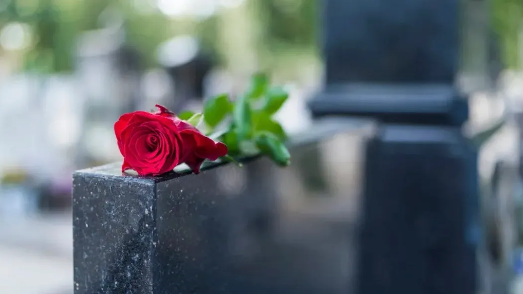 Фото: Dragana Gordic/Shutterstock/Fotodom