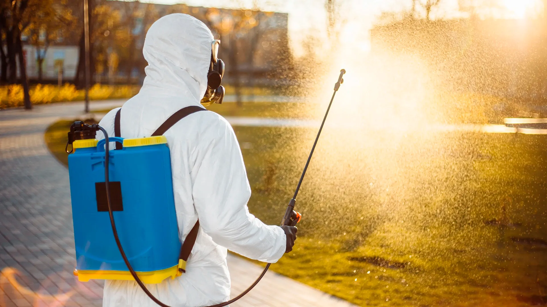 Фото: Konstantin Zibert/shutterstock.com