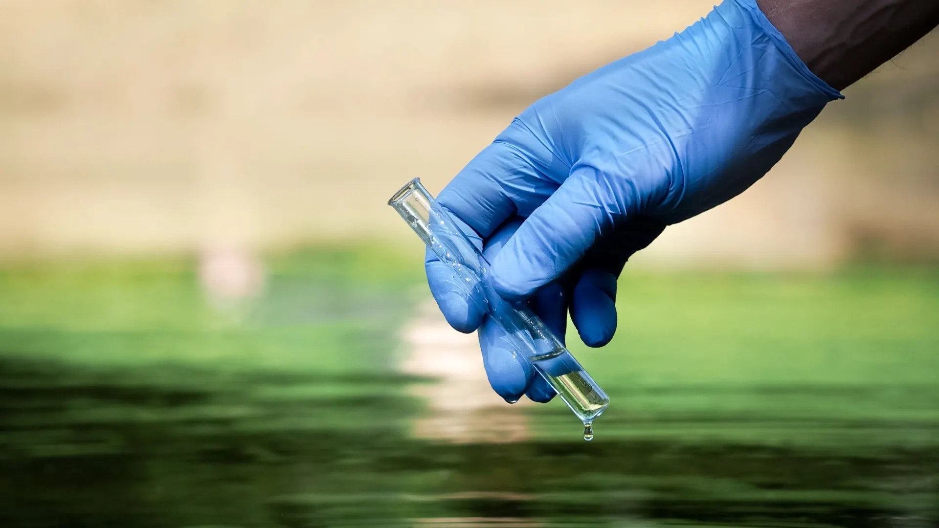 Фото: Irina Kozorog/Shutterstock/Fotodom