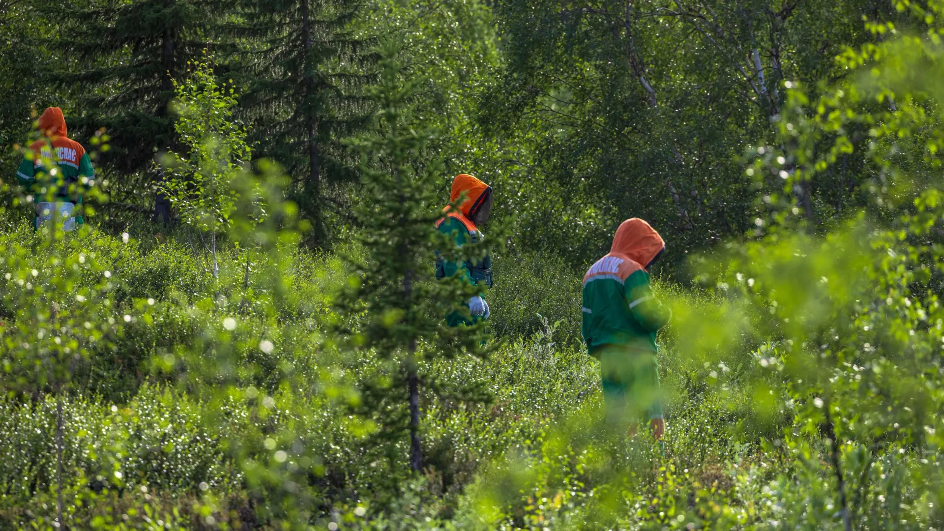 Фото: Федор Воронов/«Ямал-Медиа»