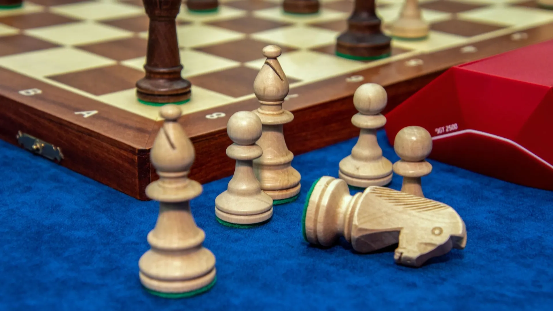 Фото: Юрий Здебский/«Ямал-Медиа»