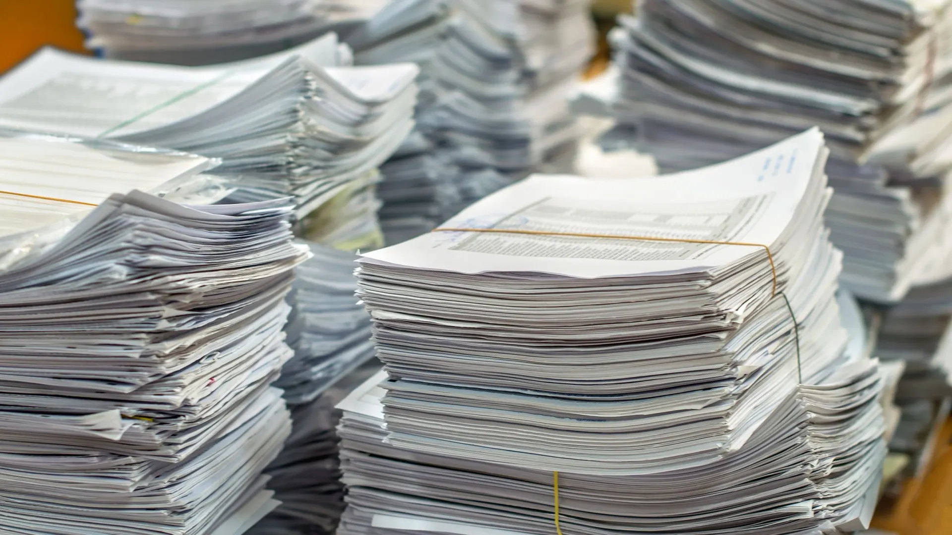 Фото: Trapezondal/Shutterstock/Fotodom