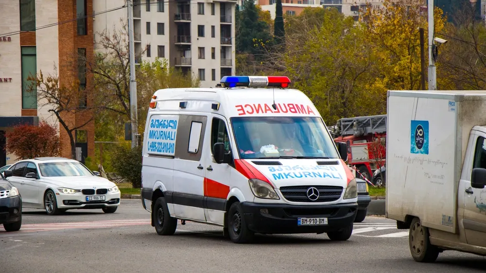 Фото: Tai Dundua/Shutterstock/Fotodom