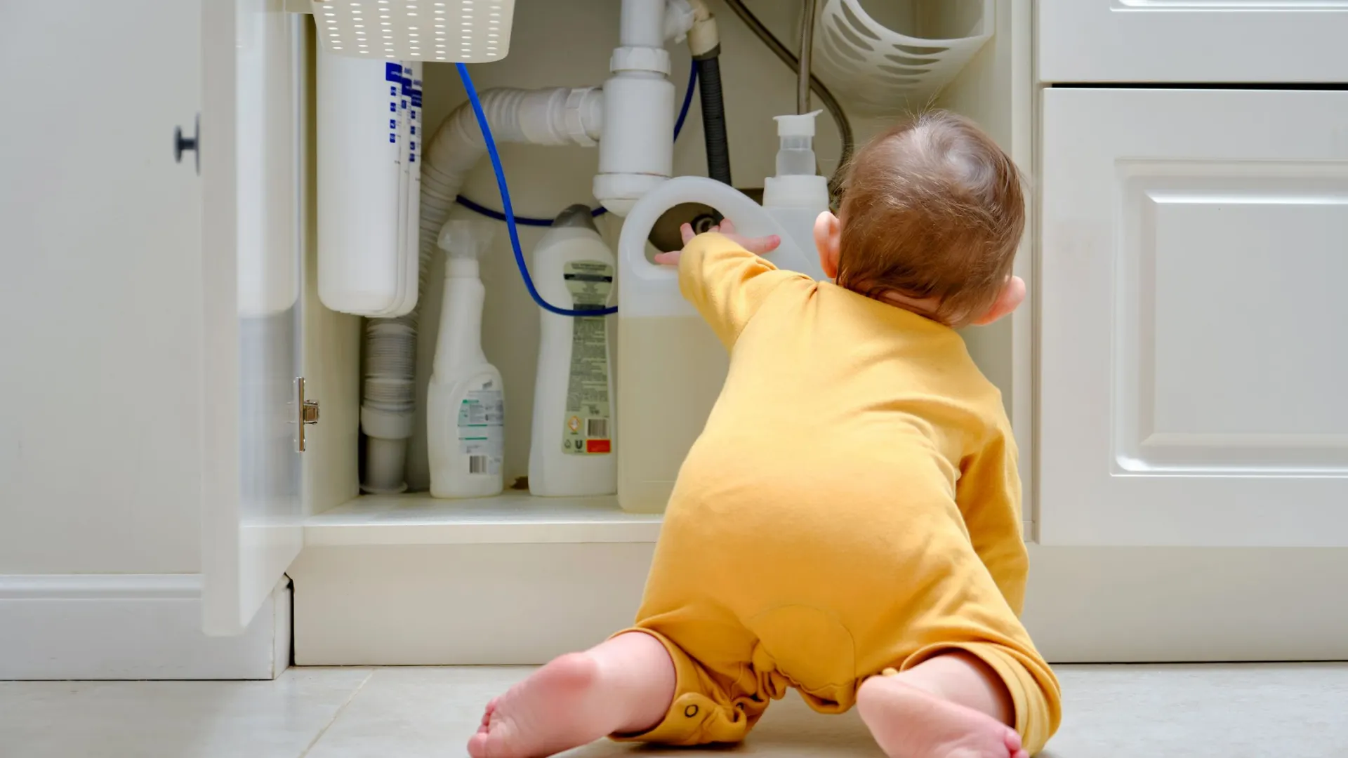 Фото: Zhuravlev Andrey/Shutterstock/Fotodom