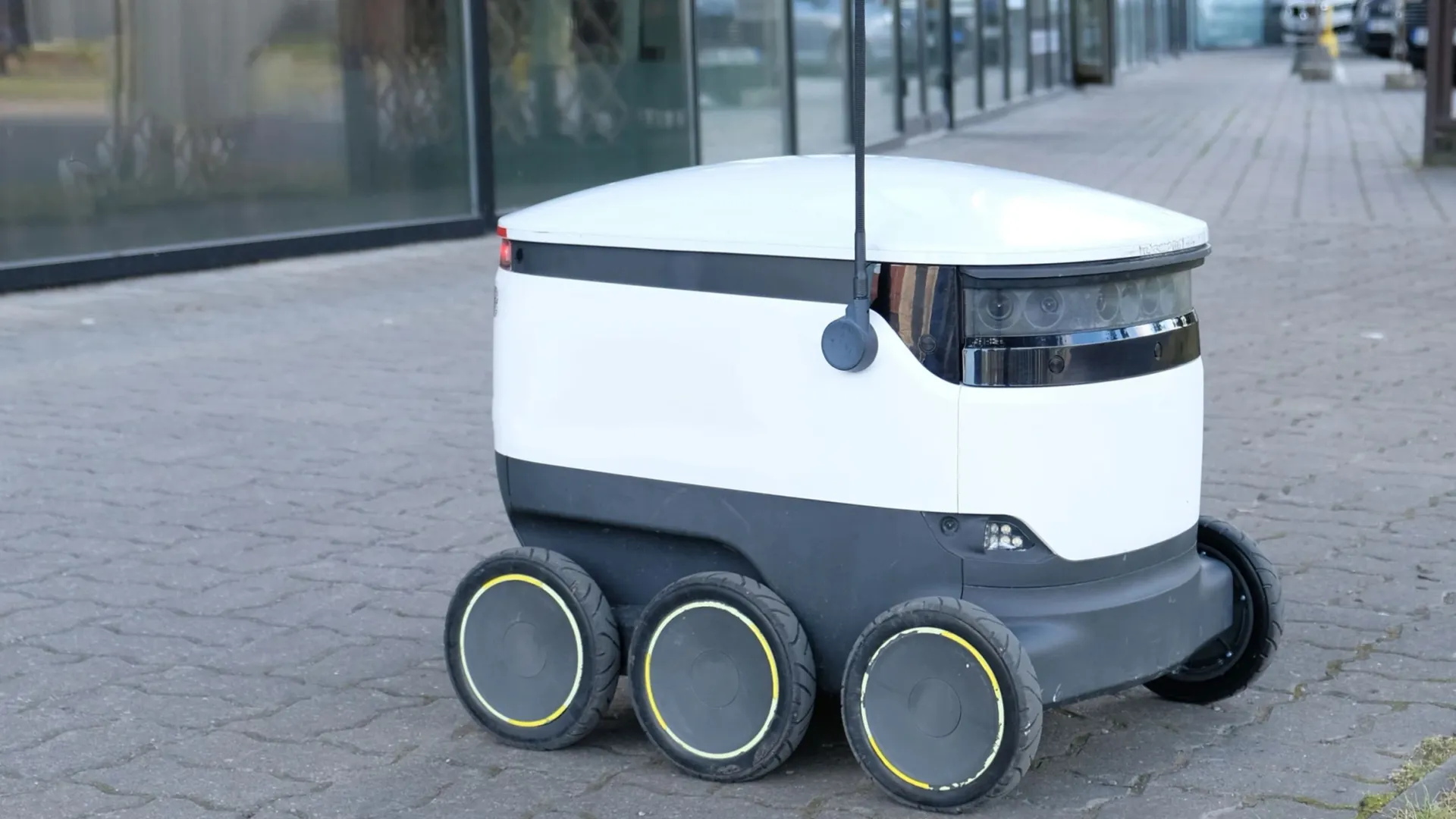 Фото: JulieStar/Shutterstock/Fotodom