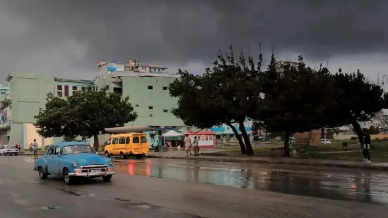 Фото: rweisswald/Shutterstock/Fotodom