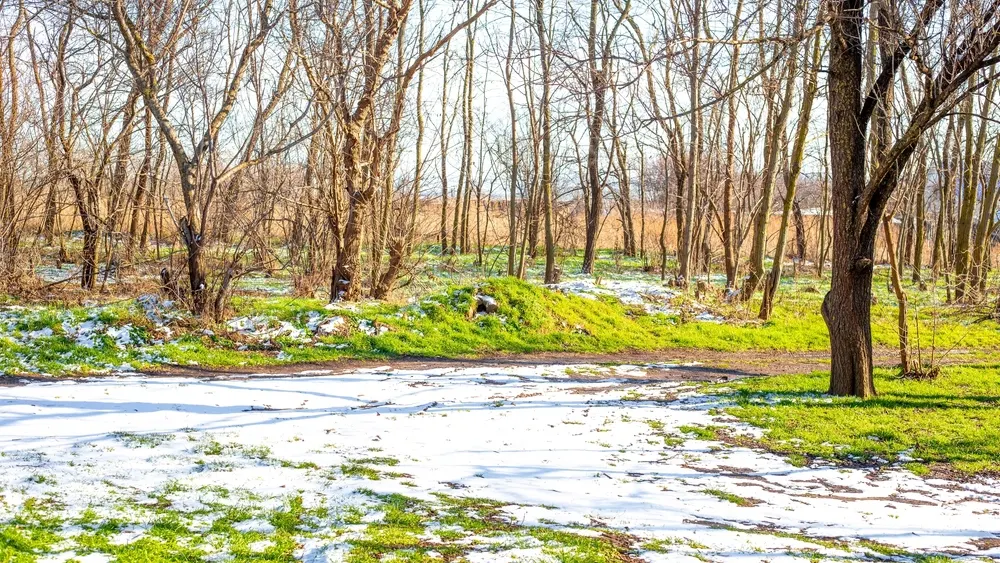 Фото: Natalia Kokhanova/Shutterstock/Fotodom