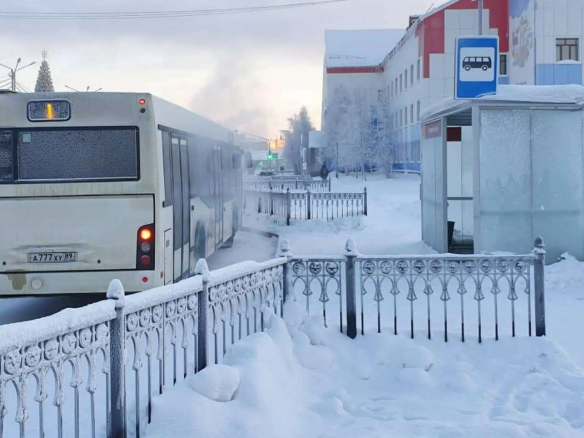 Часть рейсов автобусного маршрута Тарко-Сале – Пуровск отменили из-за  мороза | Ямал-Медиа