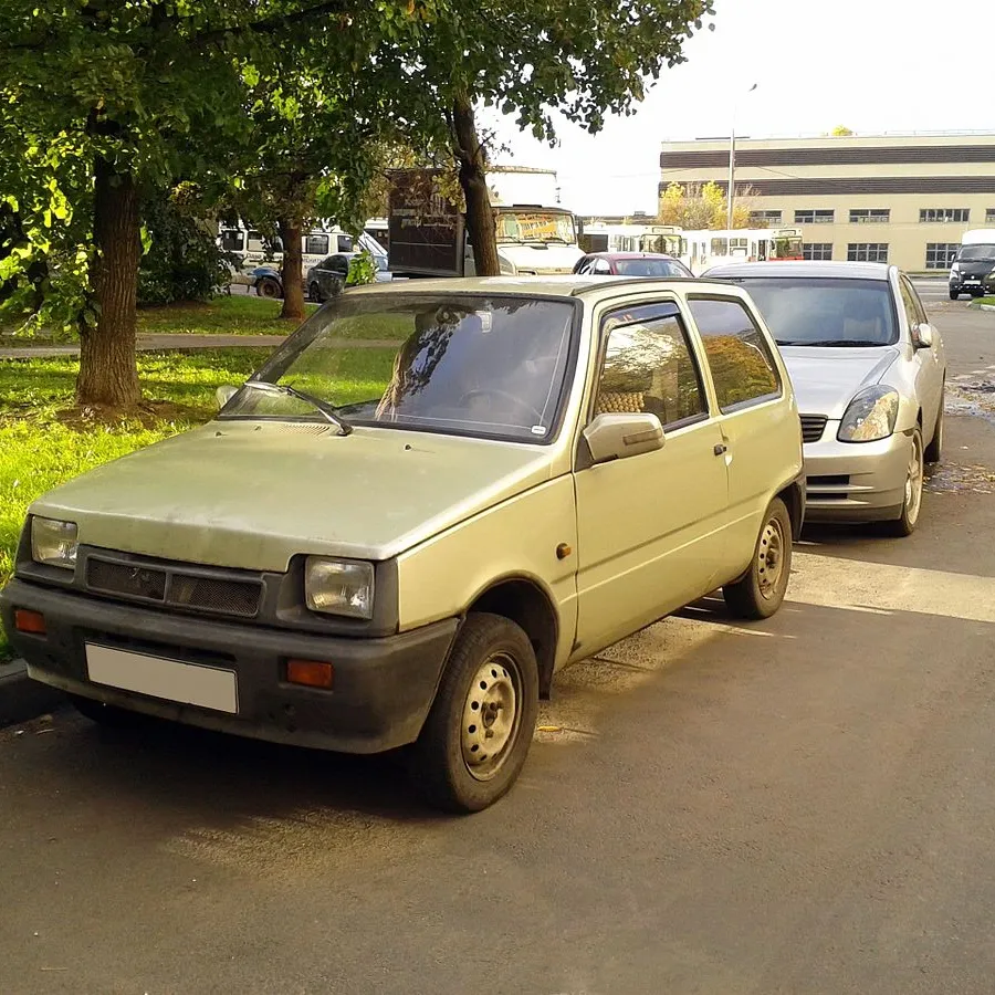 В Госдуме поддержали возрождение производства автомобиля «Ока» | Ямал-Медиа