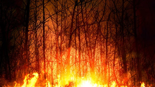 Пожар у Лонгъюгана в Надымском районе увеличился до 1650 гектаров