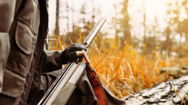 Россиянам разрешили брать охотничьи ружья в аренду: как это сделать