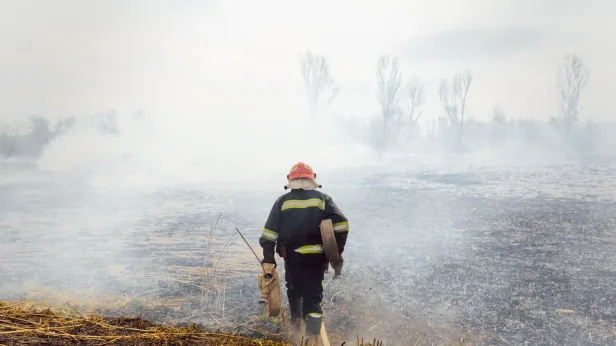 Ситуация стабилизировалась: на Ямале потушили последний природный пожар