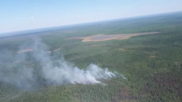 На Ямале ликвидированы лесные пожары