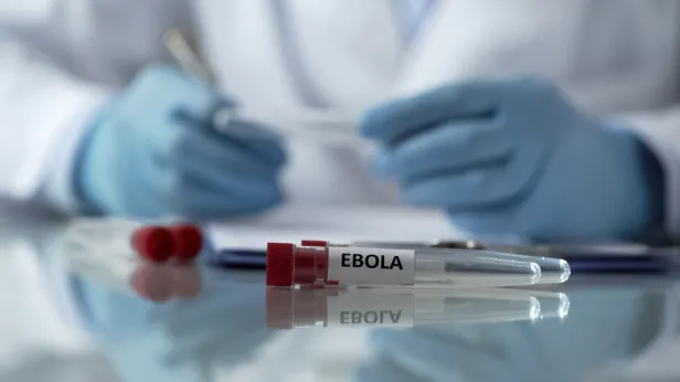 Авиакомпании в России усилят контроль из-за вспышки Эболы
