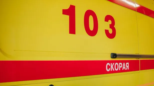 Ковальчук: дрон убил 58-летнего мужчину в лесу Брянской области 17 октября