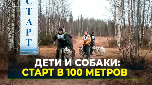 В Новом Уренгое юные каюры впервые провели летний забег с собаками
