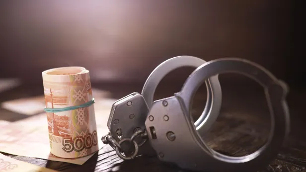 Экс-начальнику лесхоза Минобороны вменили взятку в 18 млн рублей