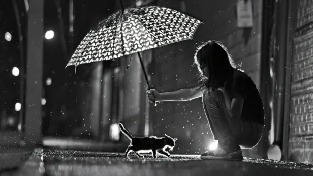 Подобрали животное на улице: что делать в первую очередь и как не навредить еще больше