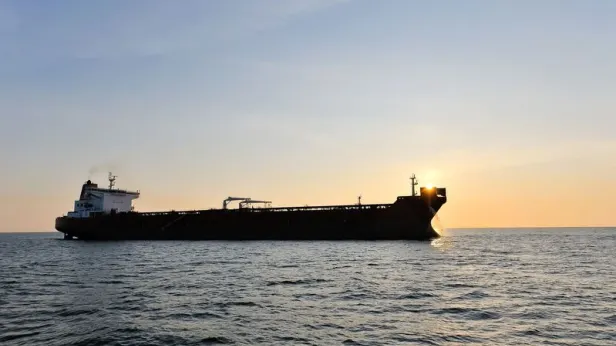 Власти Швеции задержали российский контейнеровоз Adler