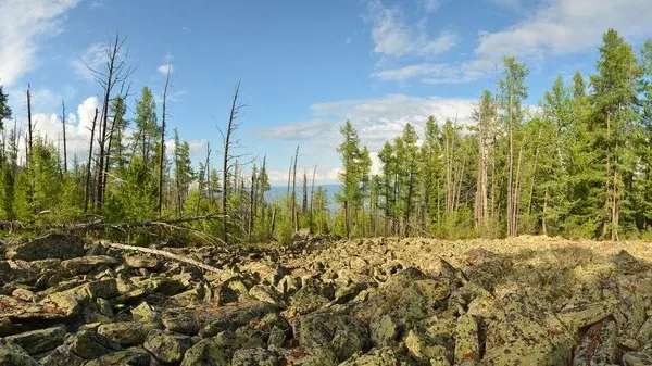 Опубликованы новые фото с места поисков пропавшей семьи Усольцевых