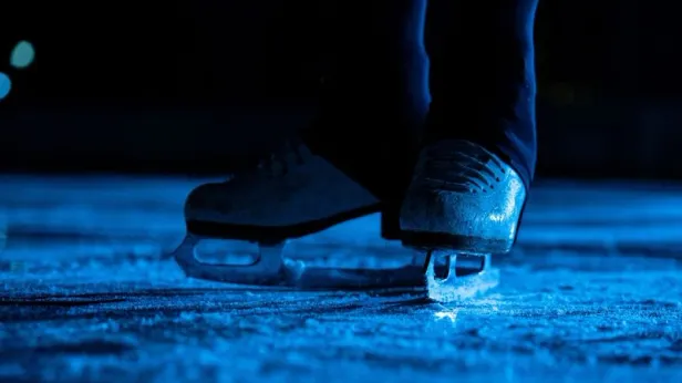 Фигуристы Сарновские заплатят компенсацию Плющенко