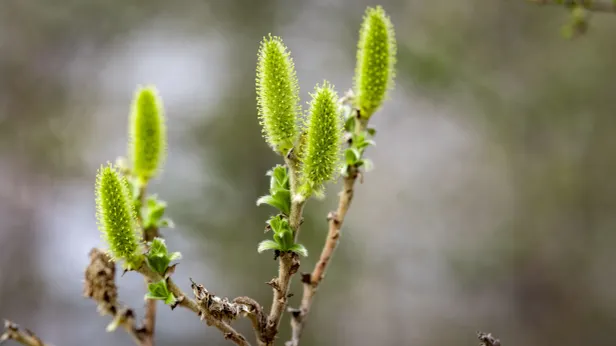 Не гневайтесь и не прячьтесь от людей: что нельзя делать 18 и 19 апреля