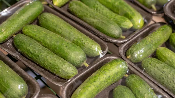 В ЯНАО огурцы стали дешевле к концу февраля