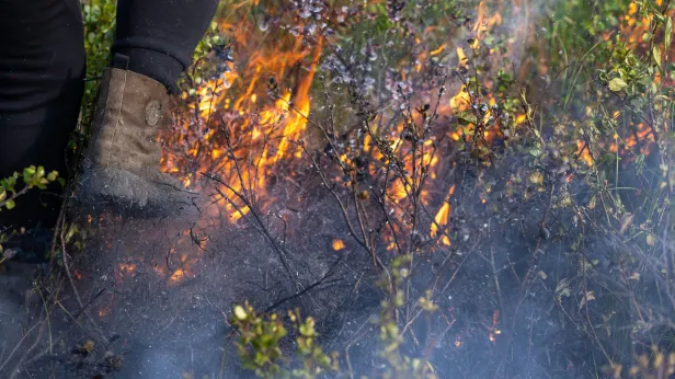 И в огонь, и в воду: Надымский район готовится к опасному сезону
