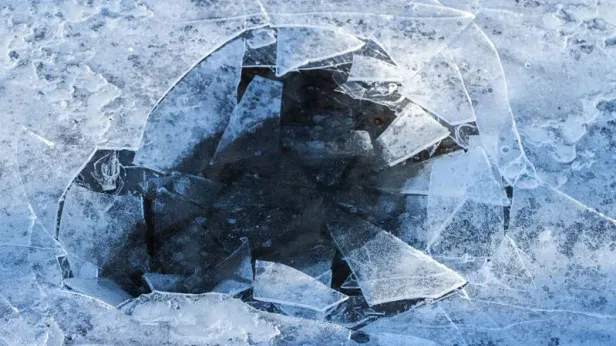 Найден один из трех пропавших в Звенигороде детей