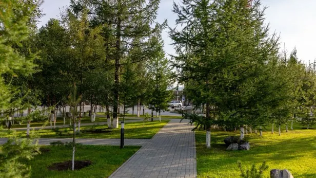 Жители Подмосковья проходят медосмотры в парках