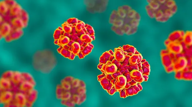 Выяснились новые подробности о пассажирах лайнера с хантавирусом