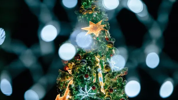 Все города и районы Ямала зажгли новогодние елки