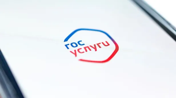 В Забайкалье задержали группу мошенников, взламывавших «Госуслуги» ради кредитов