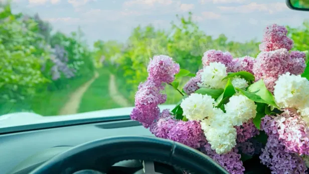 С грядки на трассу: какой автомобиль купить для дачи в 2026 году и не прогадать