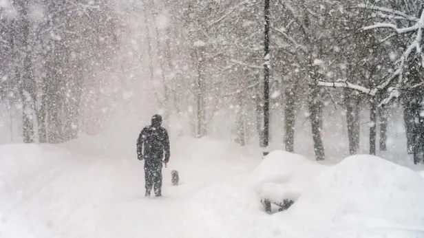«Валли» наступает: Москва тонет в снегу, стихия движется к Петербургу