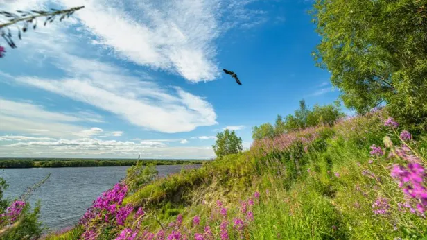 Ямальцы могут выиграть 3 миллиона рублей за лучшее путешествие