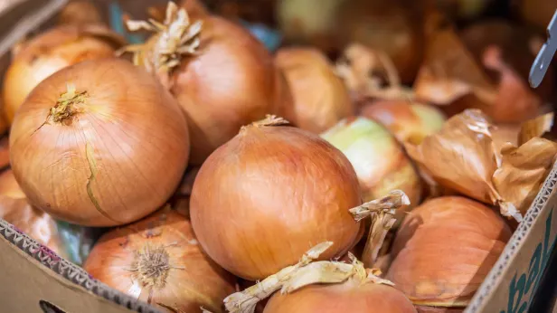 Лидеры низкой цены: какие продукты на Ямале стали доступнее за неделю