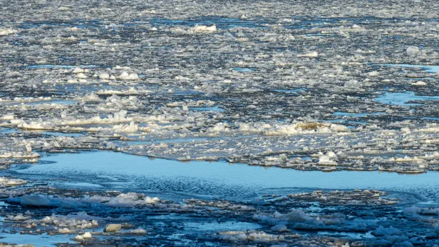 На реке Обь набирает обороты весенний ледоход