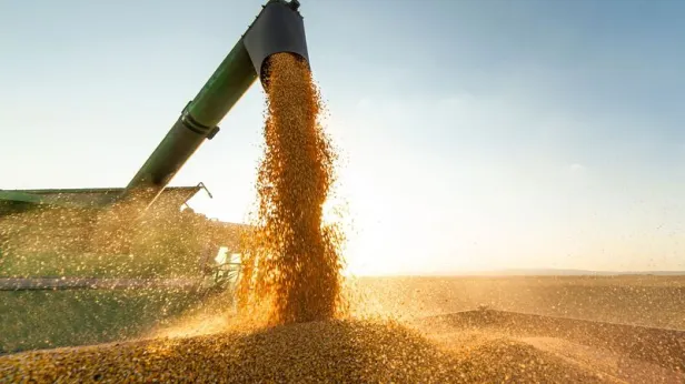 Власти Кубани ввели режим ЧС из-за проблем с вывозом сельхозпродукции после атак