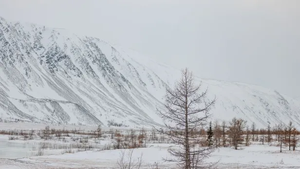 Два ямальских экопроекта получили президентские гранты на 28 миллионов рублей