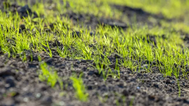 Жители Нового Уренгоя и Надыма скупают участки под Тюменью