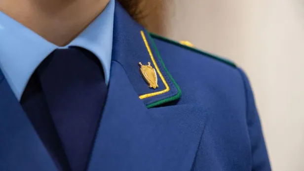 В Красноярске у бойцов СВО и их родных похитили более 23 млн рублей