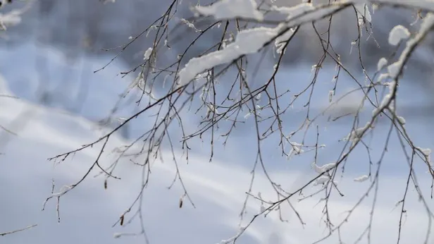 Названо самое морозное место на планете за сутки