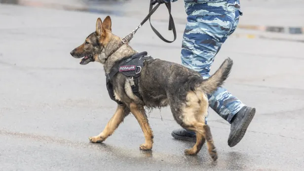 В Балашихе прохожие спасли девочку от изнасилования