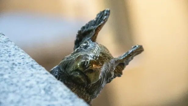 Потри меня на удачу: какие счастливые места есть в ЯНАО