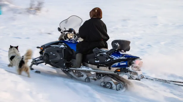 В Надыме снегоход столкнулся с грузовиком, один человек пострадал
