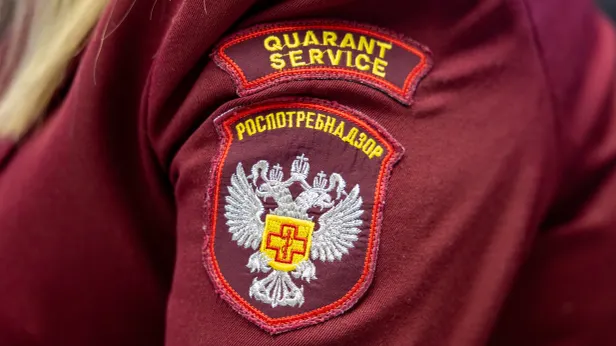 На Ямале усилили санитарный контроль за пищеблоками