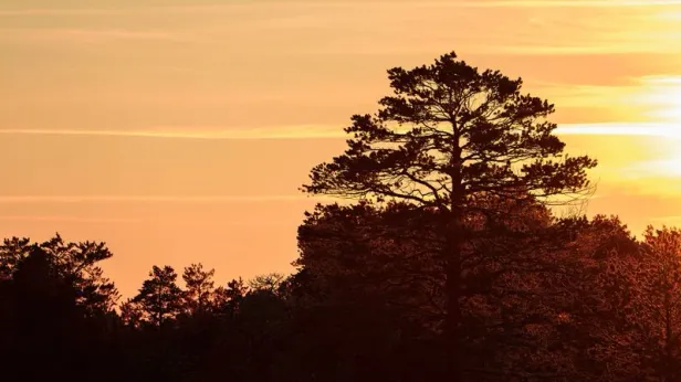 Эксперт назвал еще одну версию пропажи семьи Усольцевых