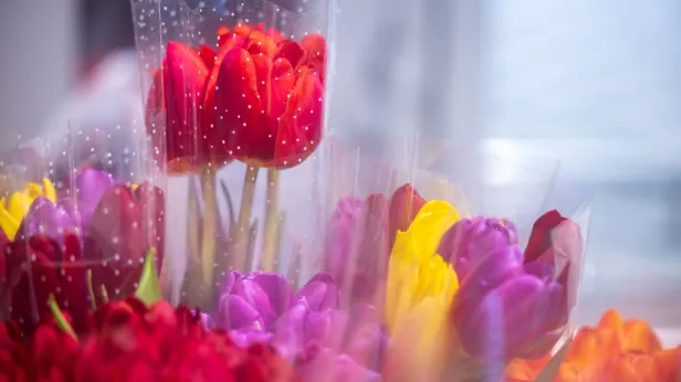 Ветеран Мнаура Лукманова встретила двойной праздник в Салехарде